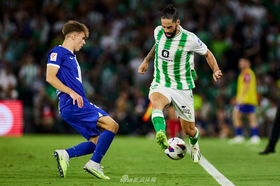 来努力的见 来努力的见